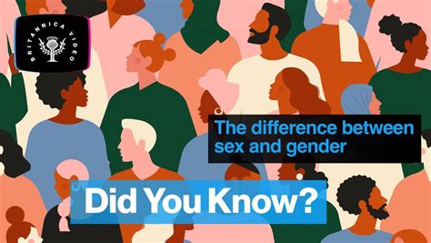 Sex, Sexuality, Gender Relations .